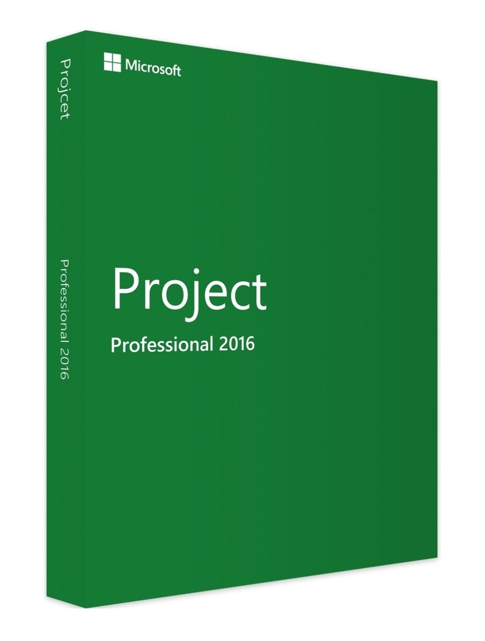 MICROSOFT PROJECT 2016 PROFESSIONAL